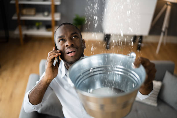 Best Water damage restoration services  in Four Cners, OR
