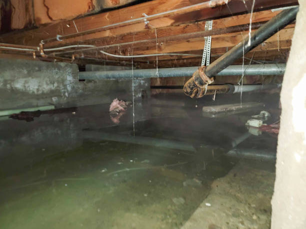  Four Cners, OR Water damage restoration Pros