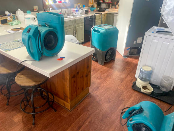 Best 24-hour water damage restoration  in Four Cners, OR