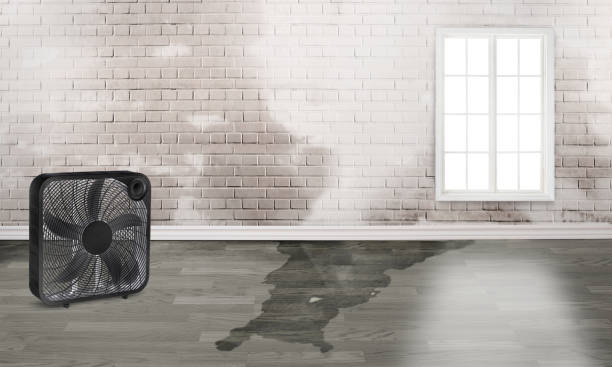 Best Residential water damage restoration  in Four Cners, OR