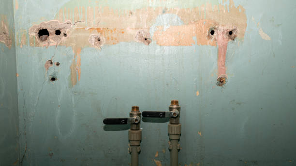 Best Water damage cleanup near me  in Four Cners, OR