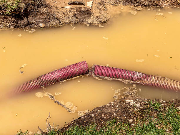 , OR Water damage restoration Company